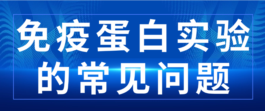 免疫蛋白實驗的常見問題